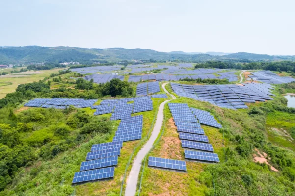 L'énergie de demain : Comment les panneaux solaires contribuent à l'énergie verte